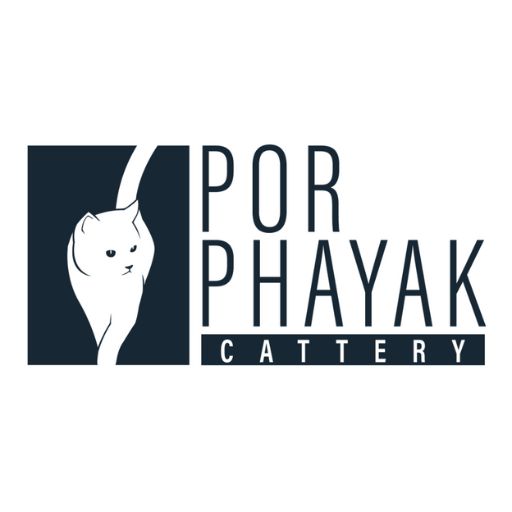 Logo Porphayak 512x512