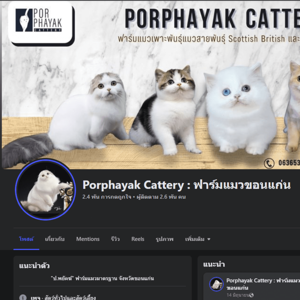 facebook Porphayak Cattery