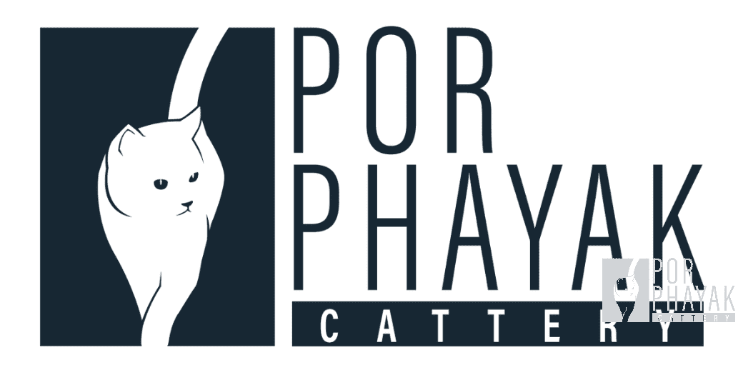 logoPorPhayakcattery 1:1