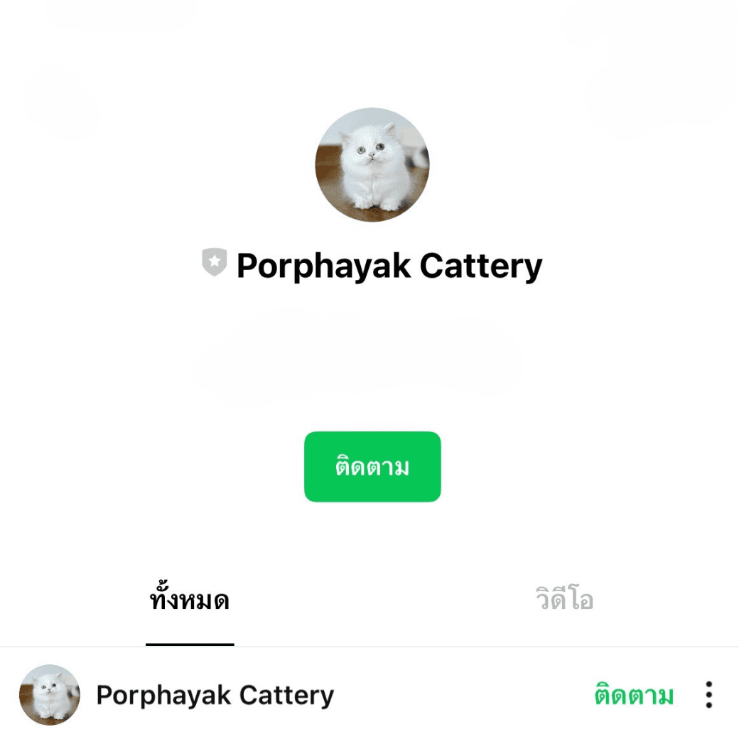 line porphayak cattery